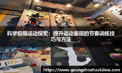 金年会